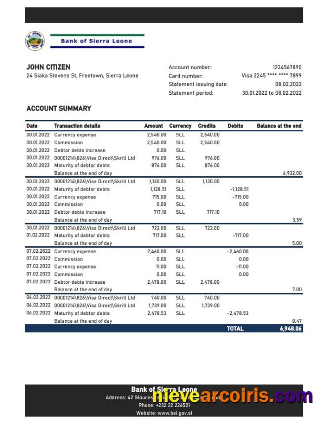 Sierra Leone Bank of Sierra Leone bank statement xls